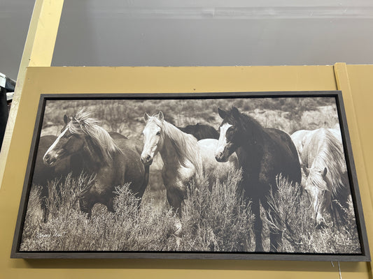 Picture Horses Barry Hart