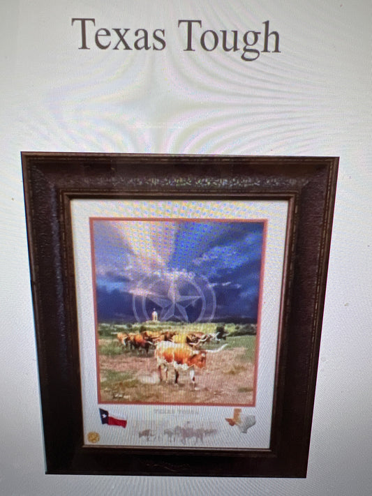 Picture Texas Tough