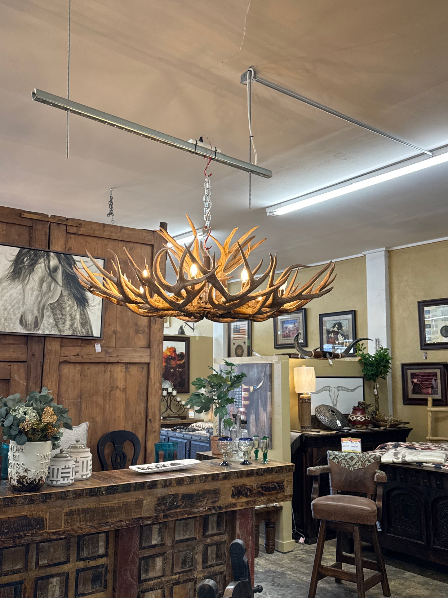F6 DD IF18 ANTLER CHANDELIER 10 LIGHTS EXLG
