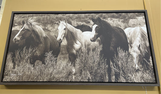 Picture Horses Barry Hart