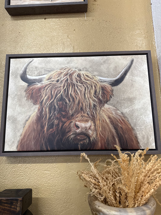 PK Highland Animal Cow