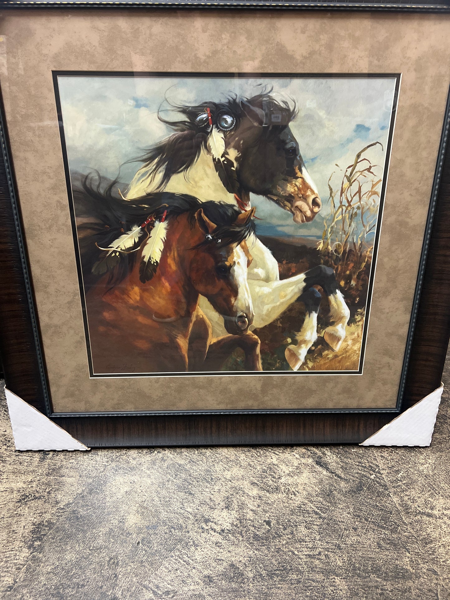 PK Wind Voyager 24x24