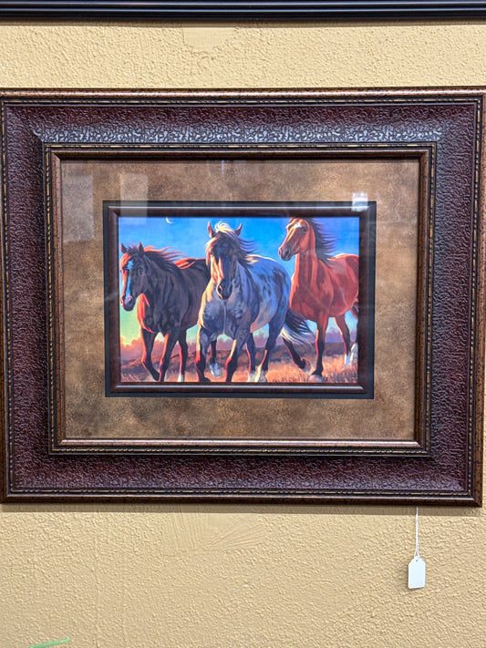 PK Horses running wild