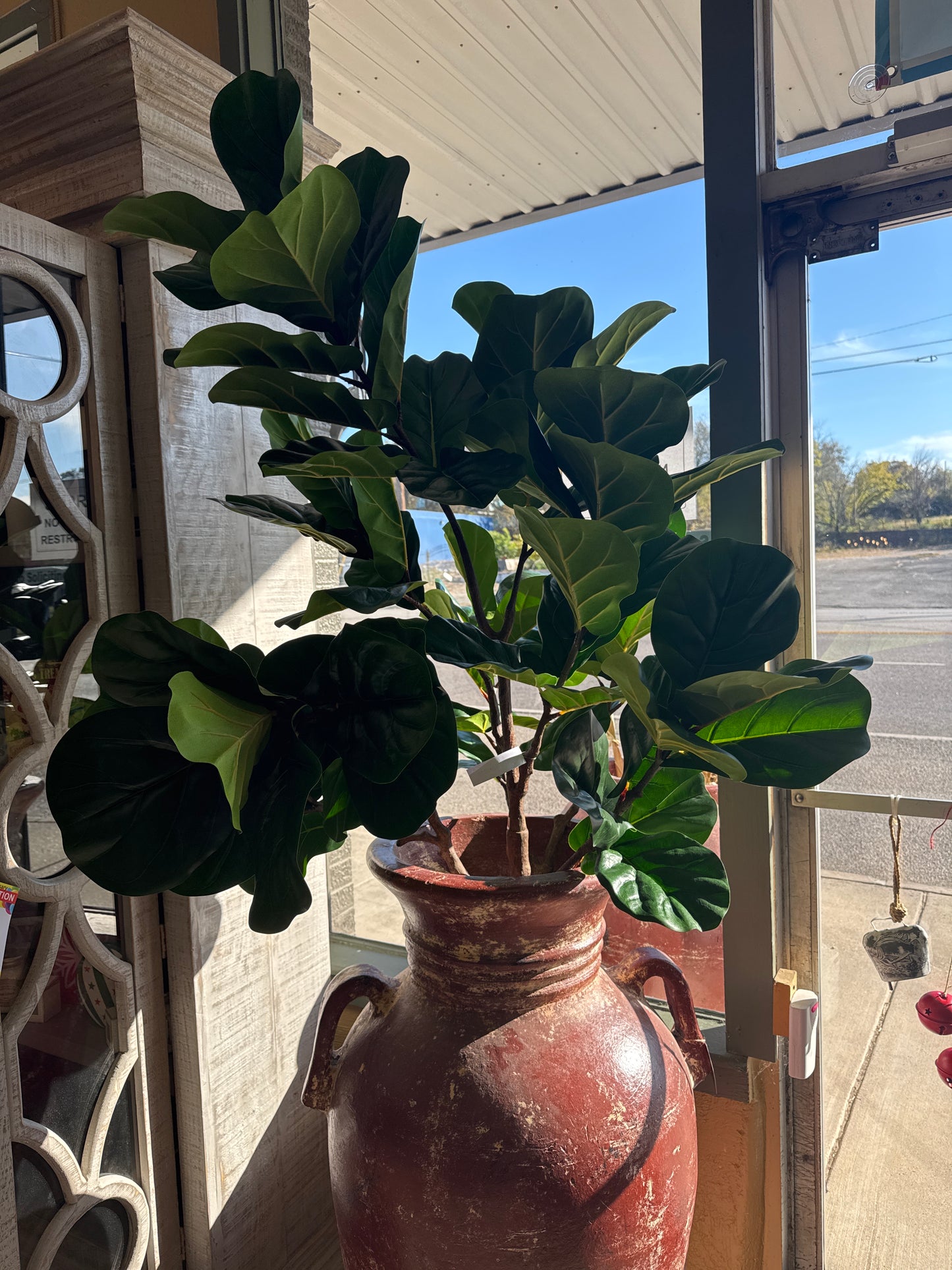 Large Tree