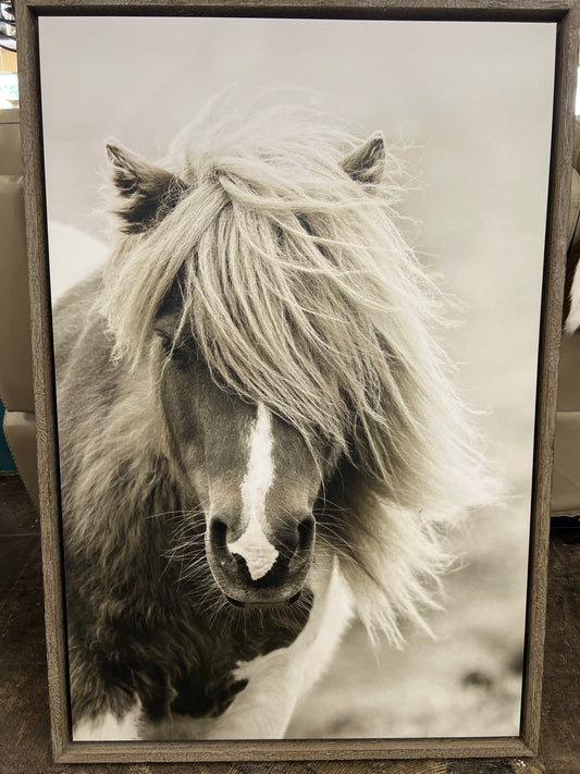 Horse Canvas 47” x 32”