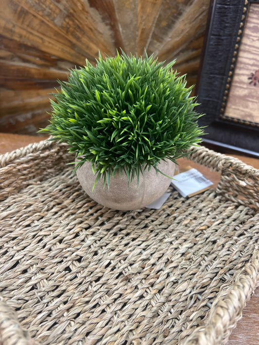 RR Boxwood Topiary