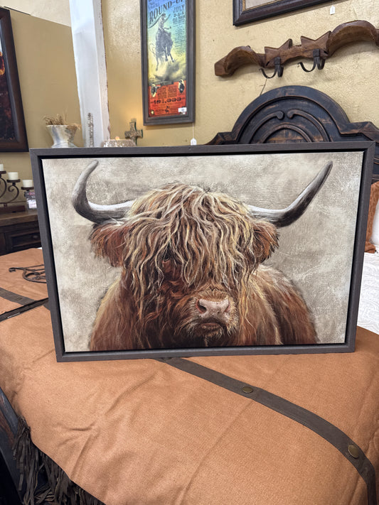 PK Highland Animal Cow