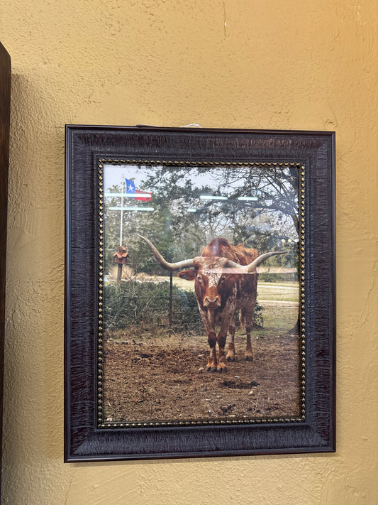 PK Sm Longhorn w American Flag