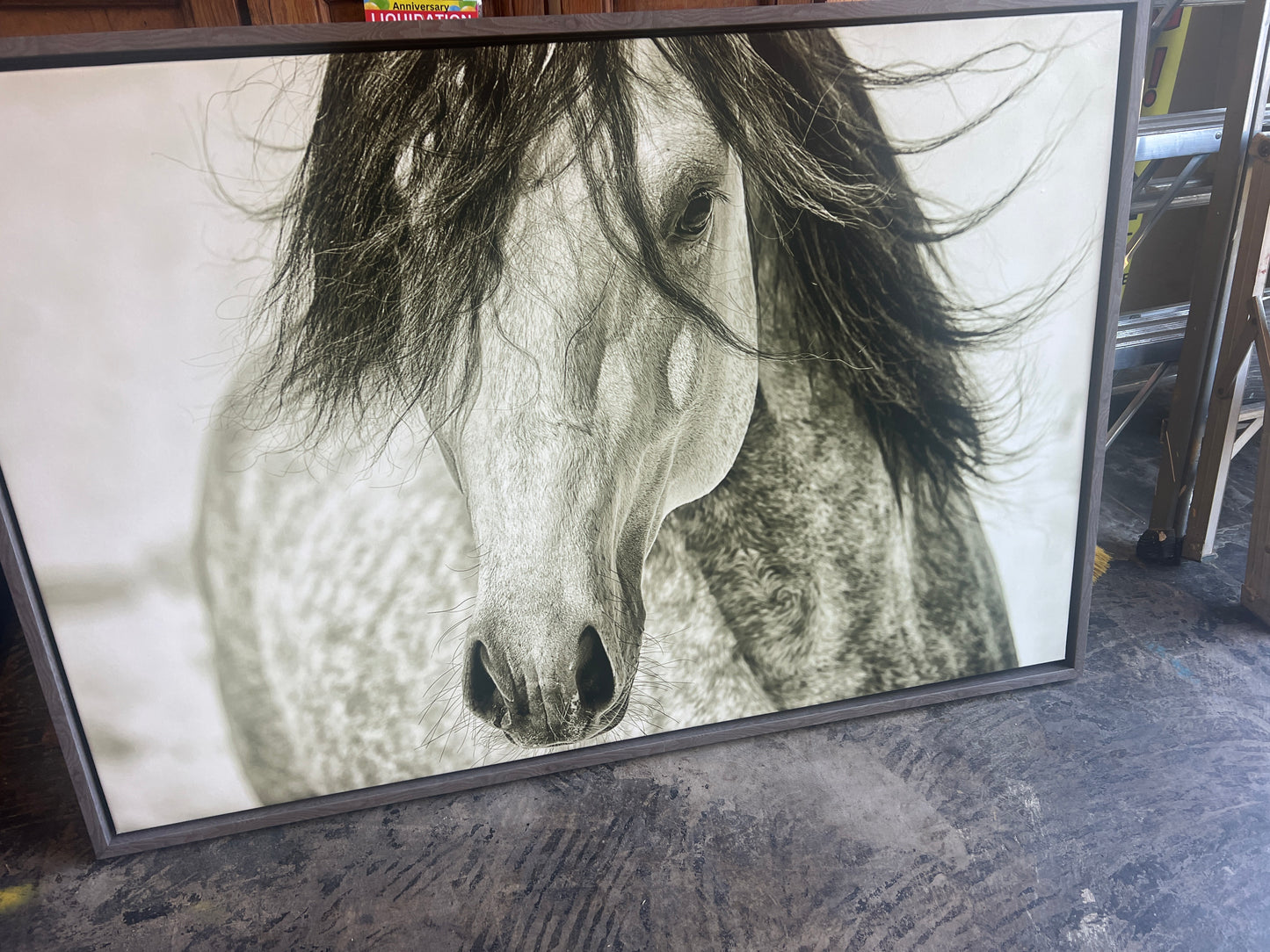 PK W554-3045 My Beautiful Mane