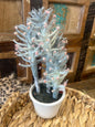 RR  Faux Cactus Bonsai