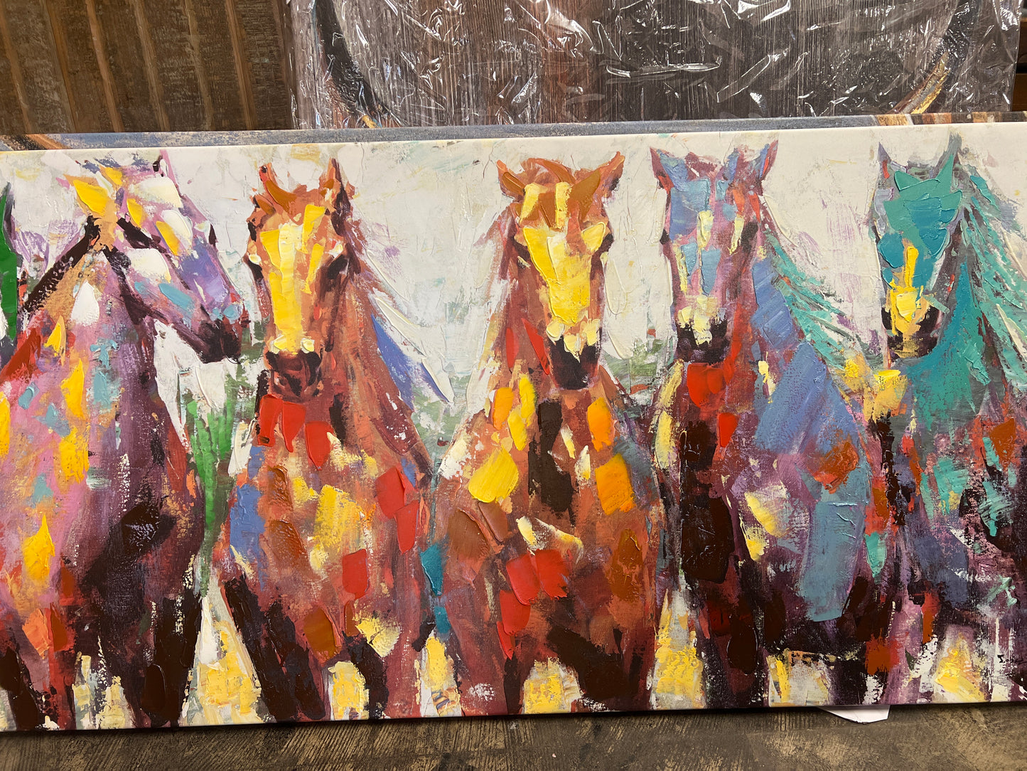 RB Colorful Horse Canvas RA0042
