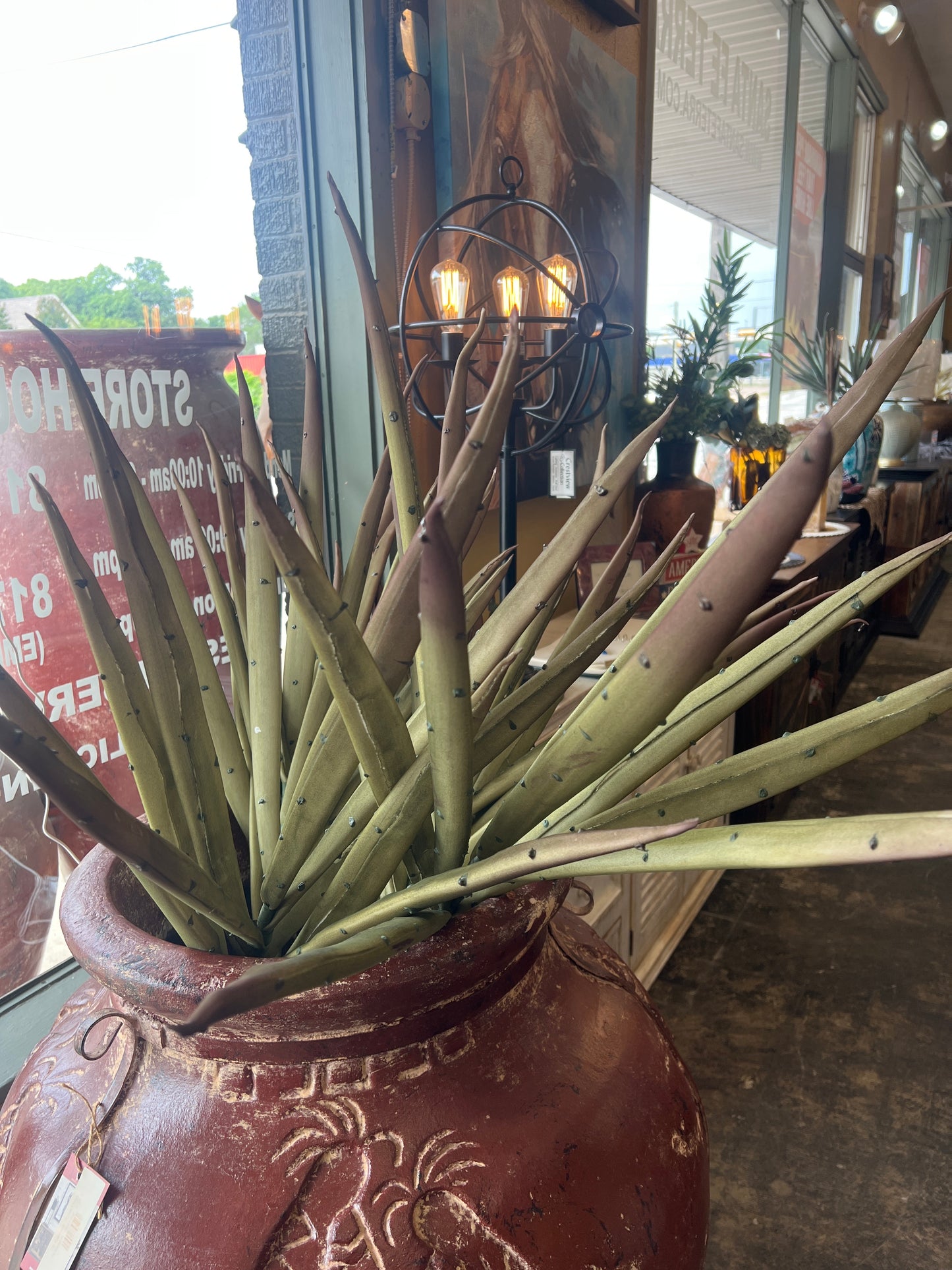 Yucca Stem