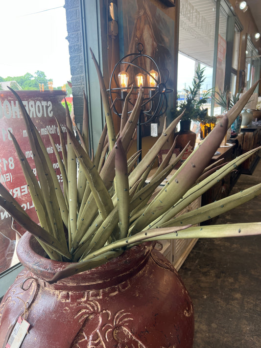 Yucca Stem