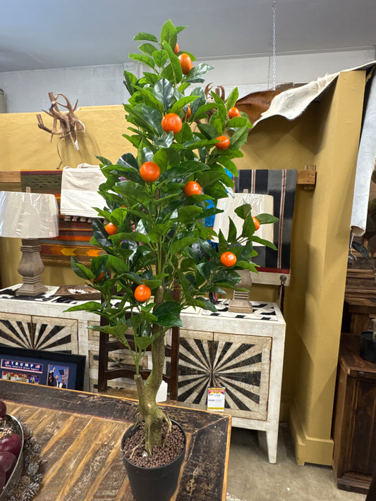 Orange Tree Med