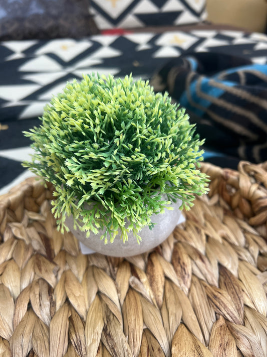 RR Boxwood Topiary