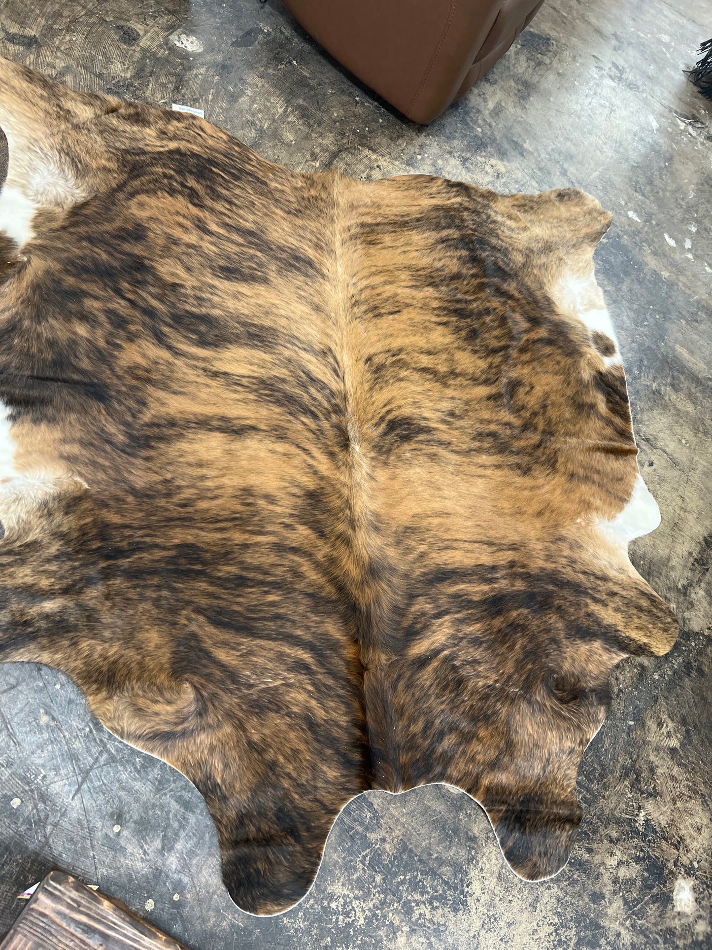 Medium Brindle Cowhide Jumbo Size (4M/+)