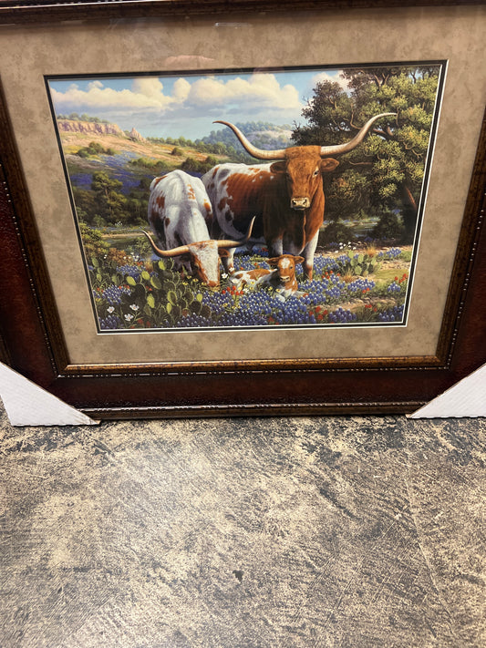 PK Longhorn and Bluebonnet