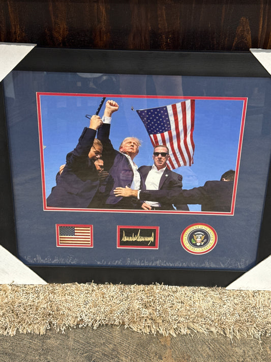 Trump Picture