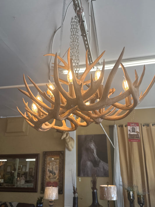 F6 DD IF37 Atelier 9 Lights