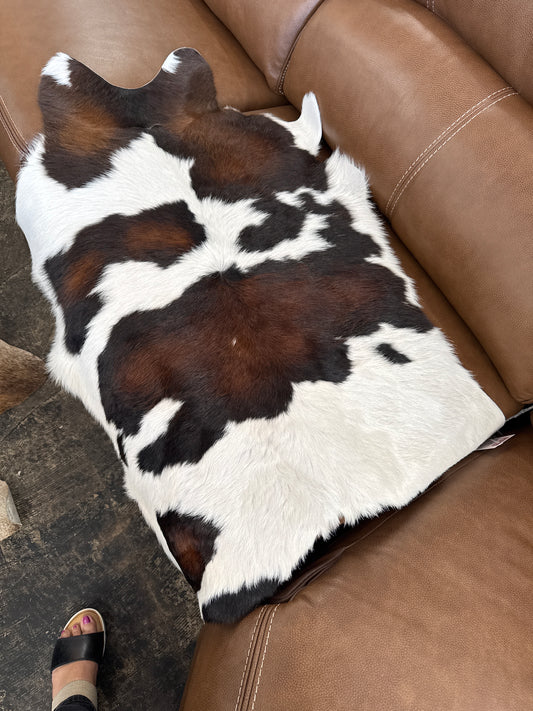 CO CALF