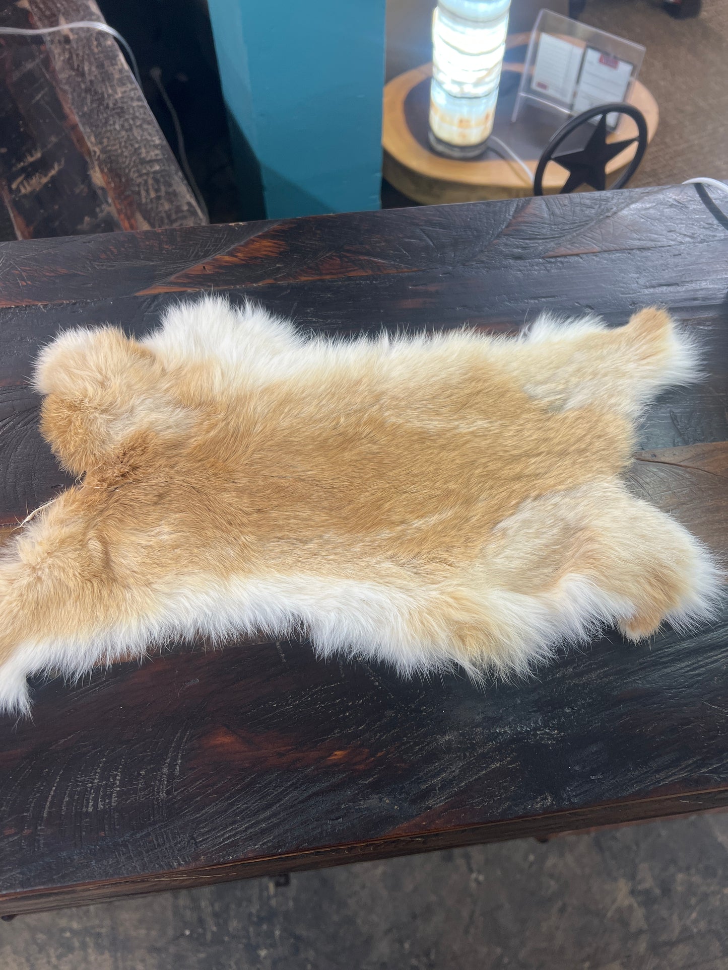 BS Rabbit