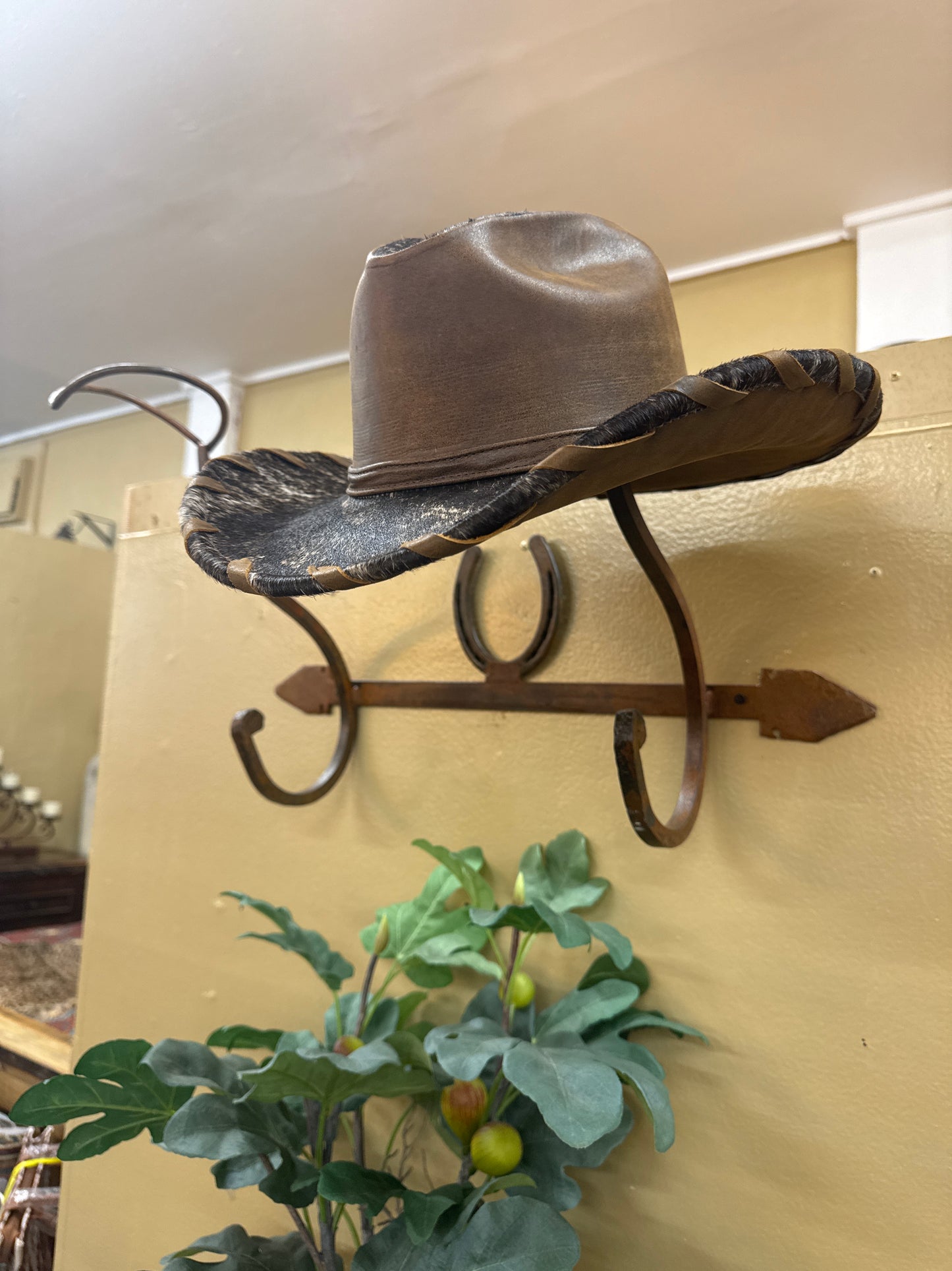Iron Hat Rack