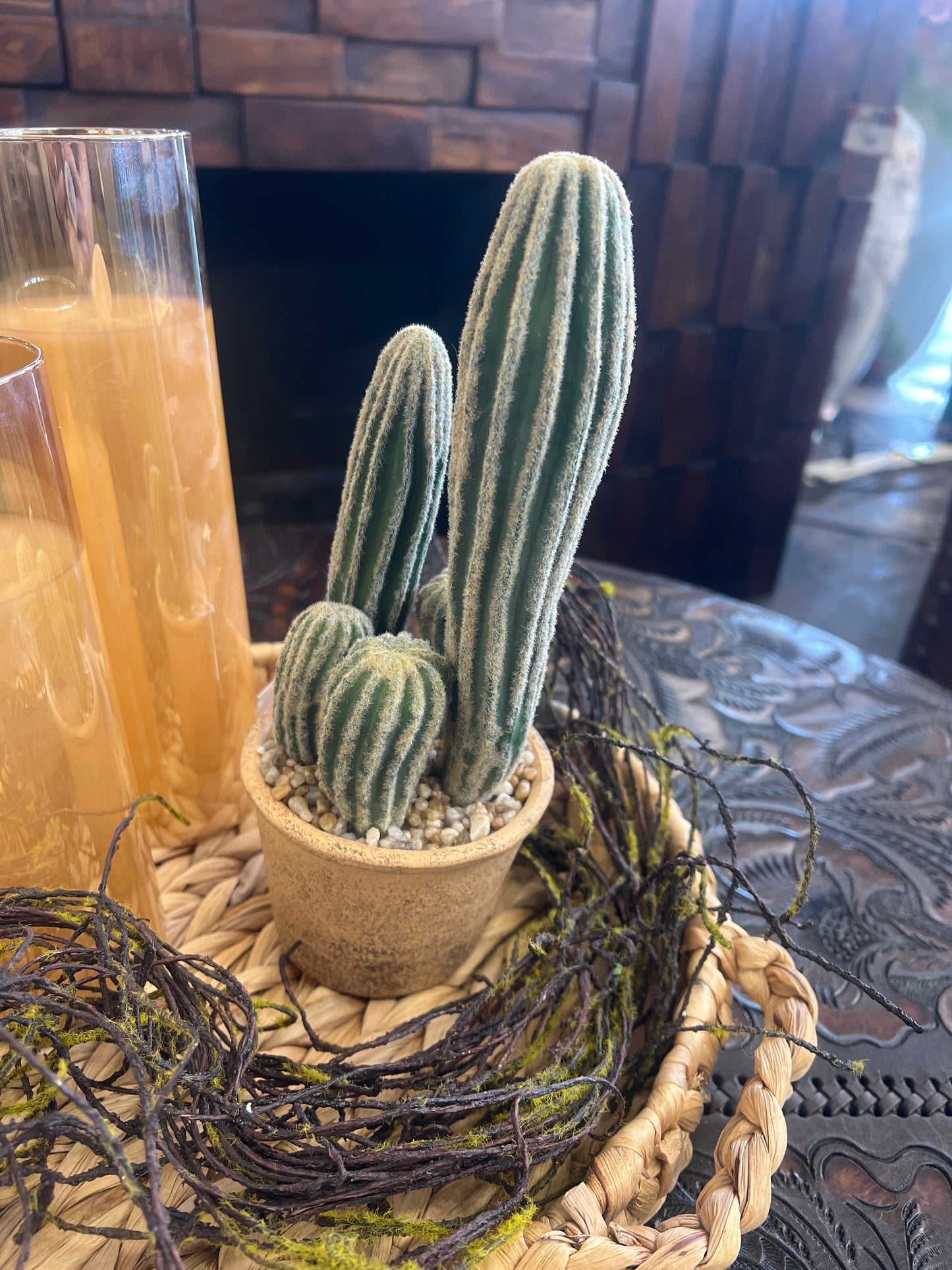 RR Faux Cactus
