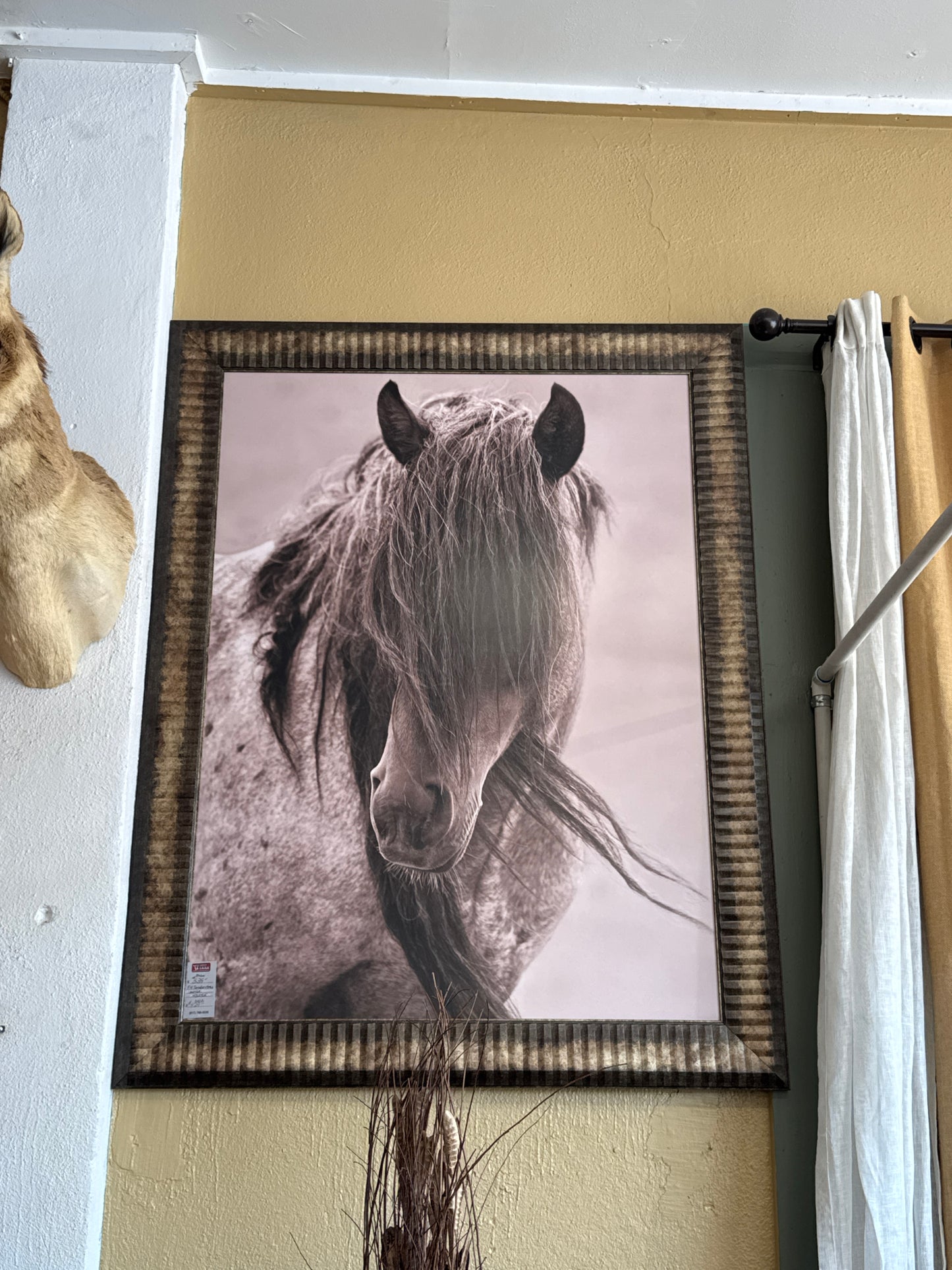 BP Tenderness Horse 43"*55"