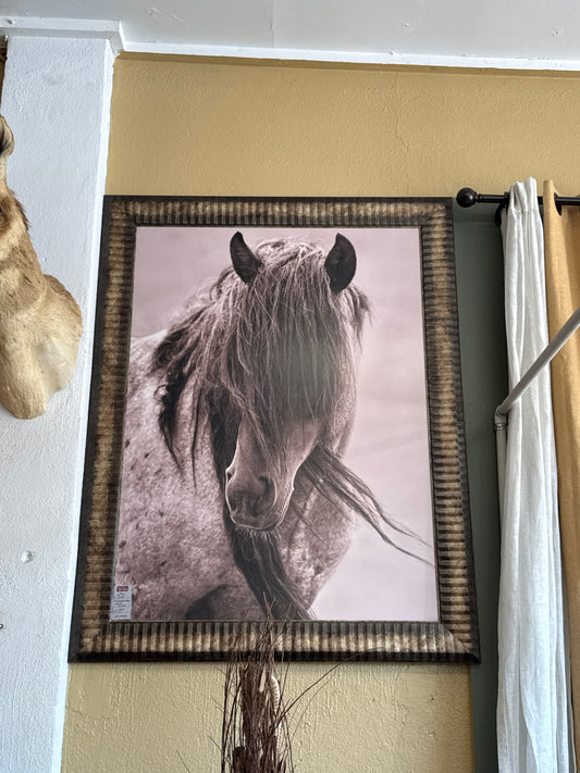 BP Tenderness Horse 43"*55"